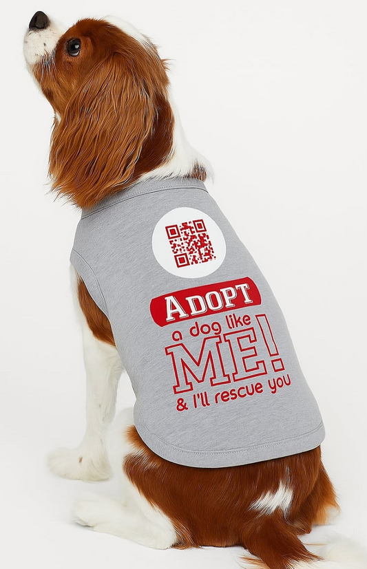 š¾ Adopt a Dog Like Me⦠and Iāll Rescue YOU! š¾