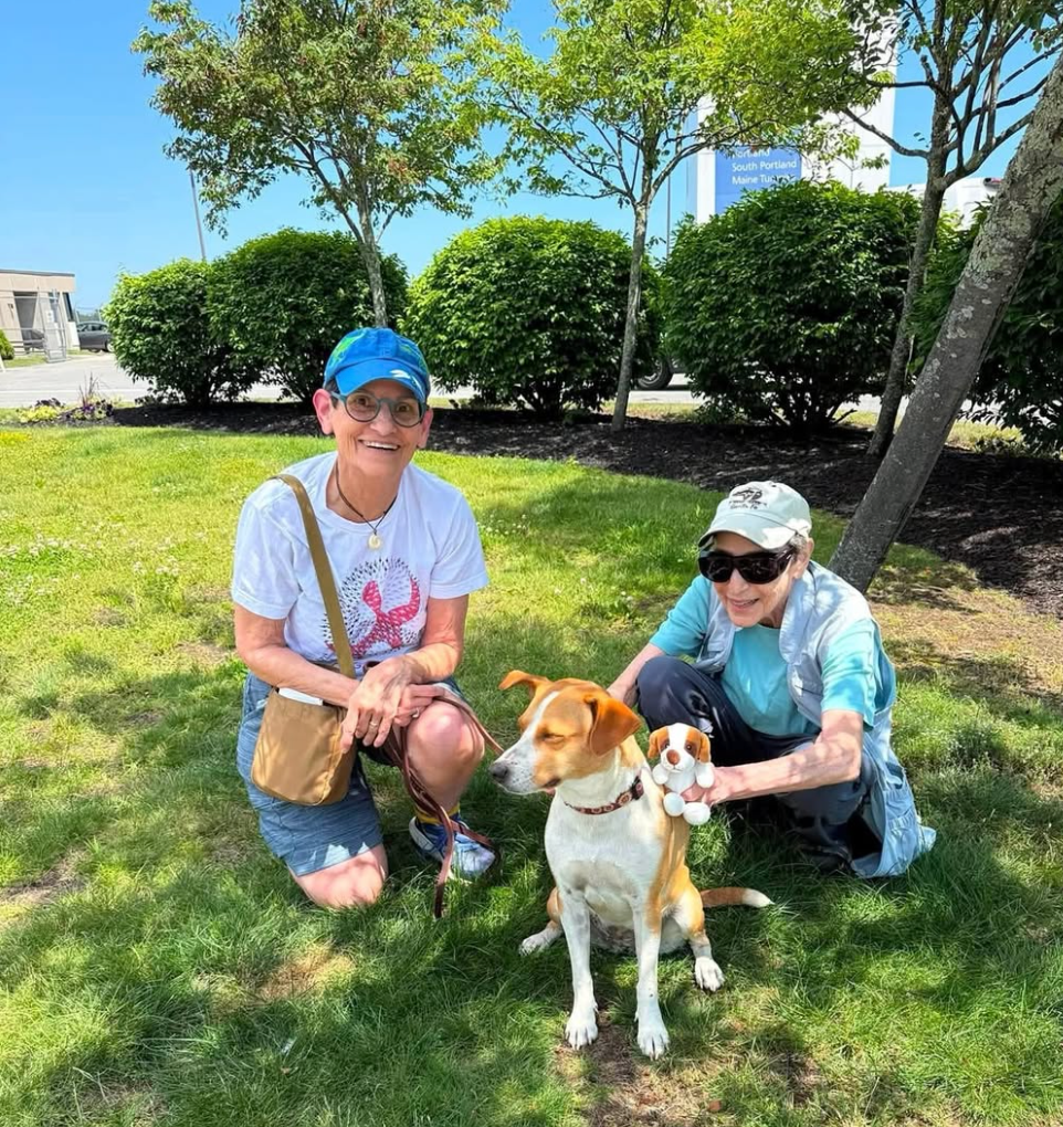 Dori