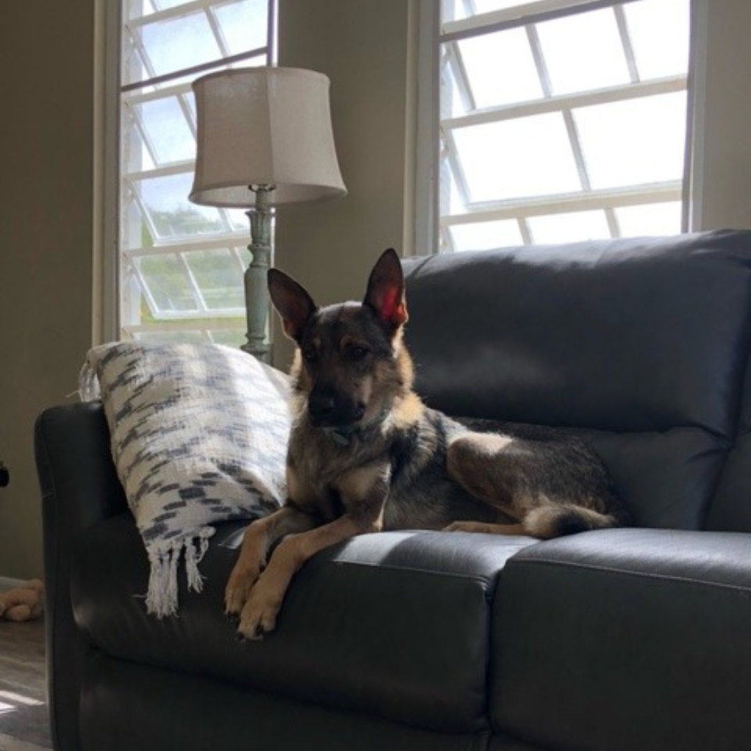 Naya
